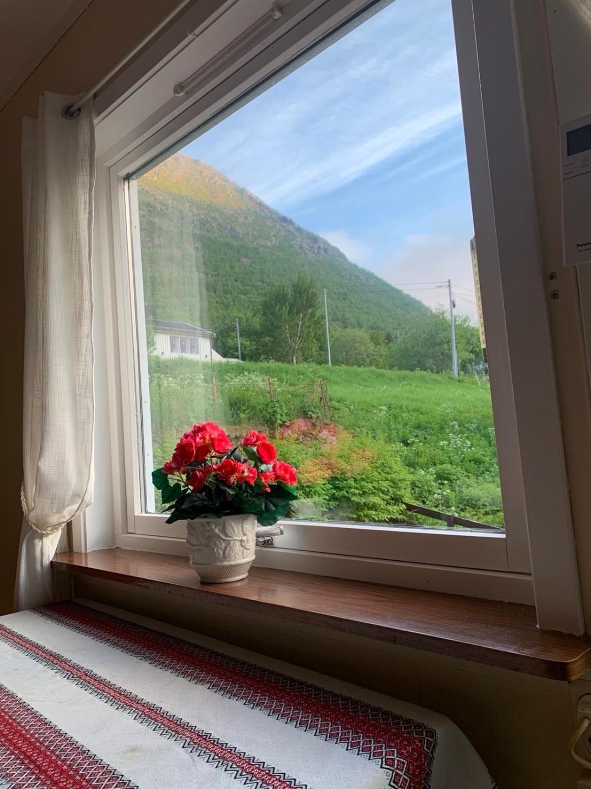 Ferienwohnung House Gryllefjord Exterior foto